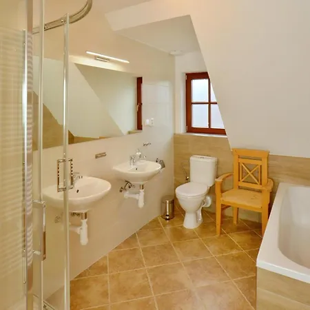 Wellness Theo Villa Vrchlabi