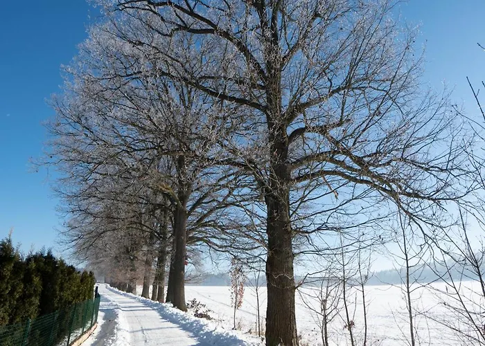 Villa Wellness Theo Vrchlabí